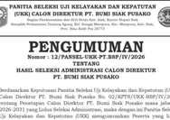 10 Nama Lolos Seleksi Administrasi Calon Direktur PT BSP, Lanjut UKK di Jakarta