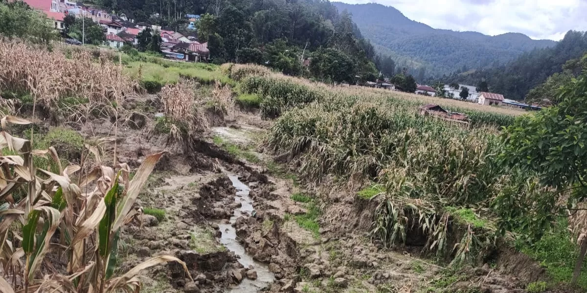 Tanah lahan pertanian warga di Parbinongan tergerus seiring tanggul sungai Sigeaon jebol saat bencana banjir dan longsor tahun 2025 lalu.(dok Realitasonline).