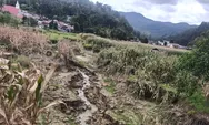 Menunggu Perbaikan, Lahan Pertanian Rusak Akibat Banjir Longsor di Taput