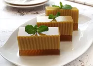 Sehat dan Lezat: Resep Puding Agar-Agar Rendah Gula untuk Menjaga Kadar Gula Darah