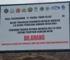 Garap Kawasan Hutan, Tambang Bos Malut United David Glen Oei Disita Negara