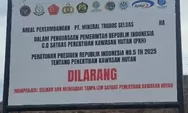 Garap Kawasan Hutan, Tambang Bos Malut United David Glen Oei Disita Negara