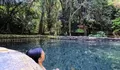 Mutiara Pagi: Mengubah Cara Pandang (Bagian 2278)