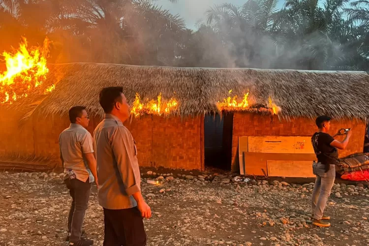 Tim gabungan TNI-Polri bakar barak narkoba, Kamis (19/12/2024). 