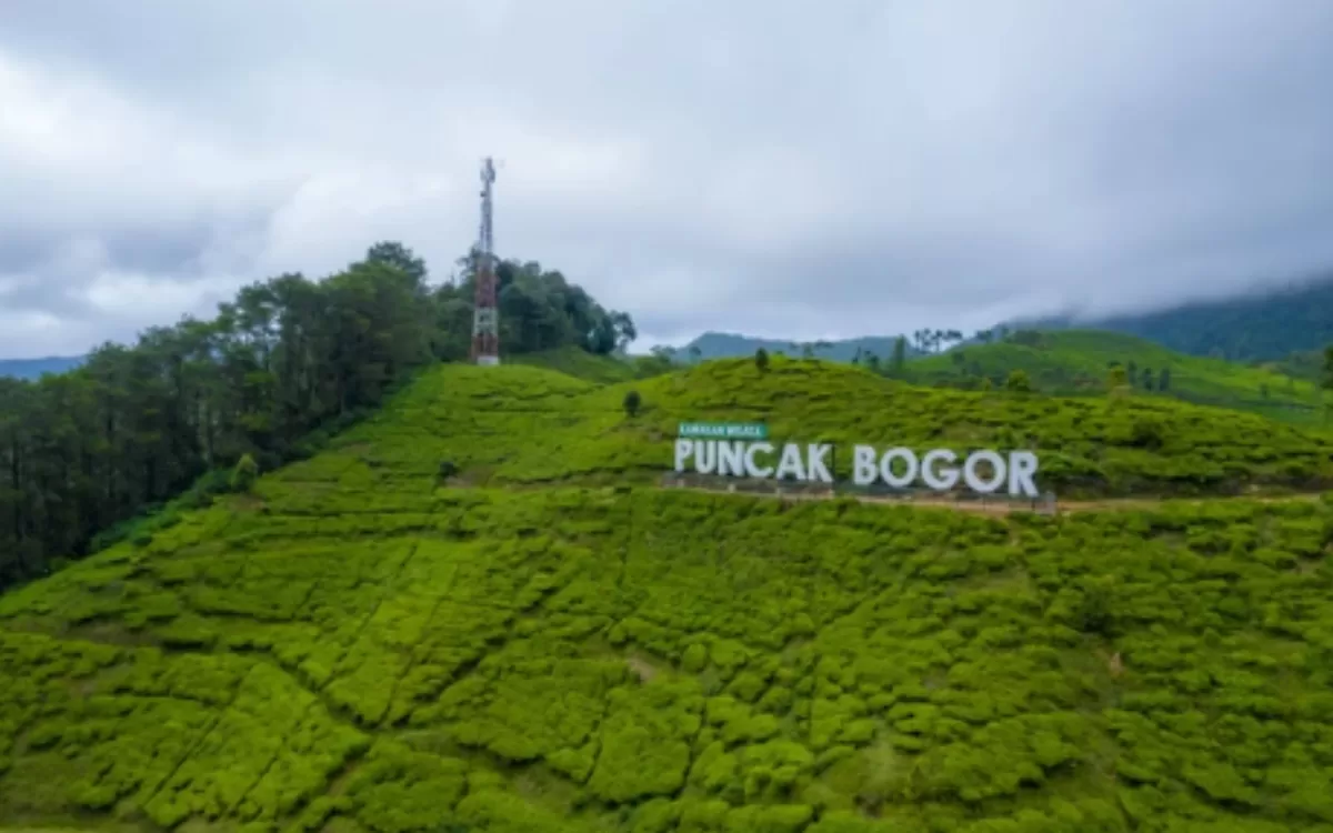 Kawasan Wisata Puncak Bogor. (Istimewa/jangkauindonesia.com)