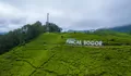 Mutiara Pagi: Semua Dipergilirkan (Bagian 2277)