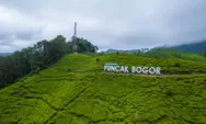 Mutiara Pagi: Semua Dipergilirkan (Bagian 2277)