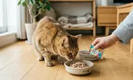 Sering Sisakan Makanan, Ilmuwan Ungkap Penyebab Kucing Alami 'Kebosanan Penciuman'