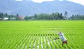 Mutiara Pagi: Jangan Merasa Paling (Bagian 2271)