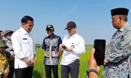 Bendungan Karet jadi Antisipasi Sawah di Desa Bangunrejo Tak Tergenang Rob