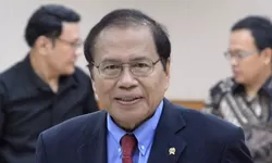 Kanker Pankreas Menjadi Penyebab Meninggalnya Eks Menko Maritim Rizal Ramli, Berikut Gejala dan pengobatannya