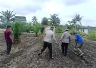 Dukung Swasembada Pangan, Polsek Kunto Darussalam Intensif Pantau Lahan Jagung Pipil