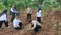 Polsek Bojongpicung Cianjur Dorong Ketahanan Pangan Lewat Penanaman Jagung Hibrida