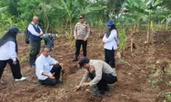 Polsek Bojongpicung Cianjur Dorong Ketahanan Pangan Lewat Penanaman Jagung Hibrida