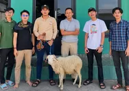 Sasar Petani dan Pedagang Kecil, TMI bersama APPSI Cianjur Salurkan Ratusan Paket Daging Qurban