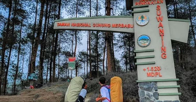 Panduan Mendaki Gunung Merbabu Via Suwanting Untuk Tahun Baru: Cara ...