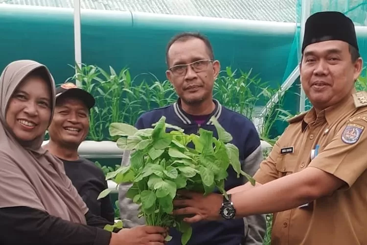 Panen perdana di lokus RTL Kampung Caraka RW10, Kelurahan Sukamaju, Kecamatan Cilodong. (ANDIKA EKA/RADAR DEPOK)