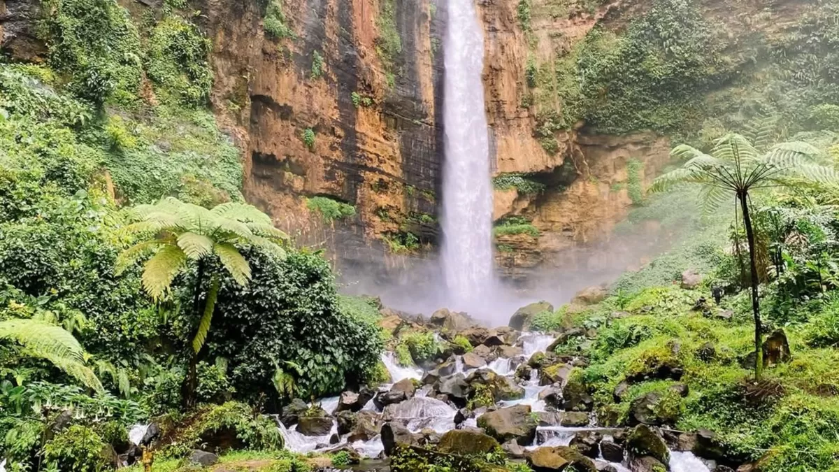 Spot foto estetik buat seru-seruan di wisata alam Air Terjun Kapas Biru Lumajang (Instagram/dyana_punkky)