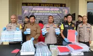 Dua Pelaku Kasus Kredit Fiktif di Bank BJB Pandeglang Ditangkap: Kerugian Capai Rp 13 Miliar, Pimpinan Cabang BJB belum Diperiksa?