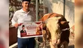 Presiden Salurkan Hewan Kurban untuk Petani dan Pedagang di Cianjur lewat Tani Merdeka