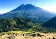 Mutiara Pagi: Sembunyikan (Bagian 2273)