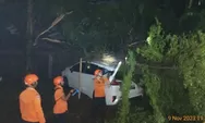 Hujan Deras Disertai Angin Kencang, Sejumlah Pohon di Bogor Tumbang