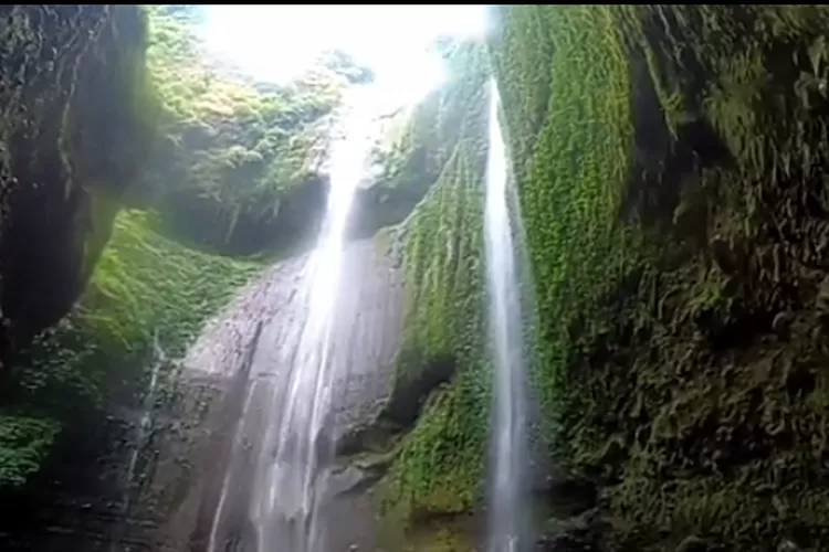 Yuk lihat daftar tempat wisata seru di Probolinggo buat liburan keluarga ataupu solo trip (YouTube Yenni Traveling )