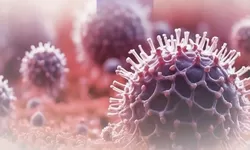 Perhatian! Ini Dia Situasi Terkini Kasus HMPV di Kota Bogor