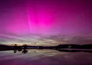 Mengenal Tanda-tanda Aurora Borealis: Pertanda Cahaya di Langit Utara yang menakjubkan