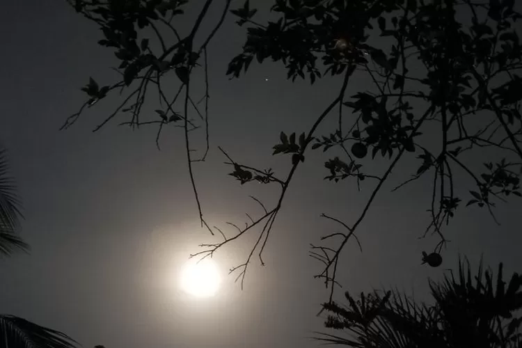 Kenapa Otak Lebih Kreatif di Malam Hari Dibandingkan pada Waktu Siang? (Ist)