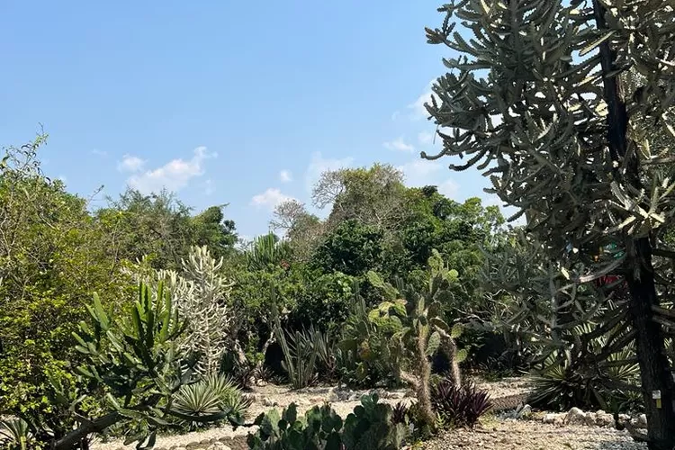 sebuah Mitos (dokpri)