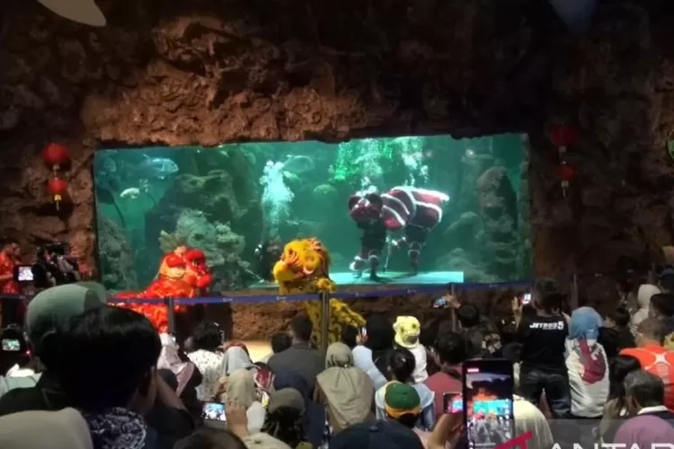 Penampilan Naga Bawah Air dan Puteri Duyung di Sea World Ancol pada Kamis (7/2/2024). ( ANTARA/Dokumentasi Pribadi)