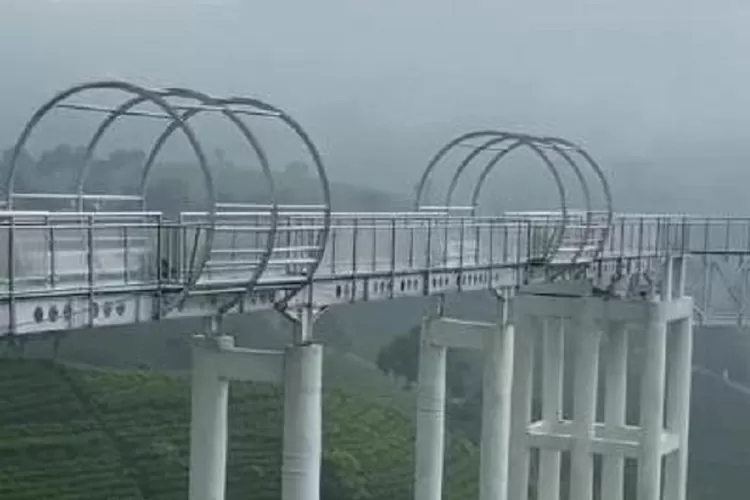 Takjub! Jembatan kaca terpanjang di Jawa Tengah, Kemuning Sky Hill di tengah kebun teh (Youtube Daftar Wisata)