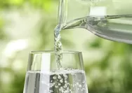 Berapa Banyak Air Putih yang Harus Dikonsumsi Setiap Hari?