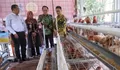 Charoen Pokphand Indonesia Hibahkan Kandang Petelur Merah Putih, Dukung Pemberdayaan Disabilitas di DIY