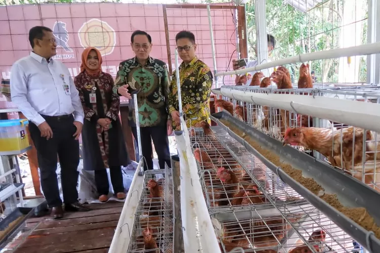 PT Charoen Pokphand Indonesia, Tbk (CPI) menghibahkan Kandang dan Ayam Petelur kepada Kelompok Peternak Lemah Asri Tamanmartani Kalasan Sleman pada Rabu (14/5/2025) dan Pusat Pemberdayaan Disabilitas Mitra Sejahtera Nglipar Gunungkidul, Kamis (15/5/2025).  (Foto: Dok. Istimewa)