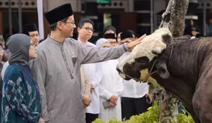 Beda dengan Presiden, Purbaya Beli 2 Sapi Simmetal Pakai Uang Pribadi untuk Disembelih di Hari Raya Idul Adha 2026, Kualitas Hewan Kurban Jadi Sorotan