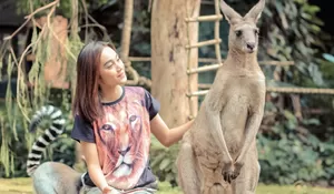 Mini Zoo Taman Safari Bogor Jadi Magnet Utama di Bulan Bakti Peternakan 2025, Ramai Pengunjung