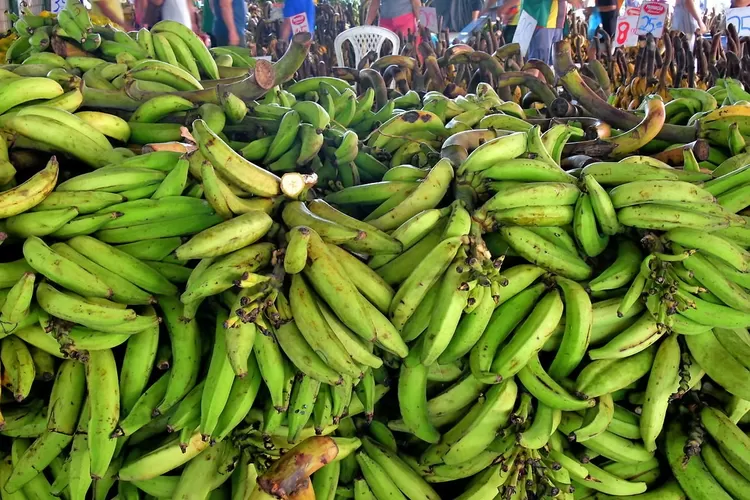 Kementrian Perdagangan melalui Dirjen Perundingan Perdagangan Internasional memberikan fakta bahwa ekspor pisang ke Jepang tidak sulit (Encircle Photos)