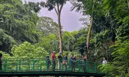 Merapat Kuy! Liburan Idul Adha-nya Berpetualang di Hutan Kota Babakan Siliwangi, Rekreasi Edukatif di Tengah Kota Bandung