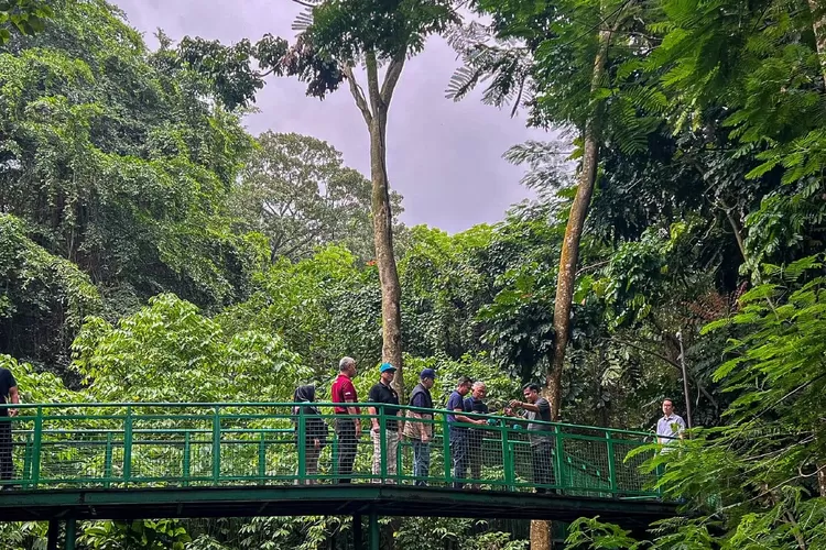  keindahan dan edukasi di Hutan Kota Babakan Siliwangi, Bandung. Ajak keluarga dan teman untuk petualangan seru di tengah kota! (Humas Bandung / Gorajuara.com)