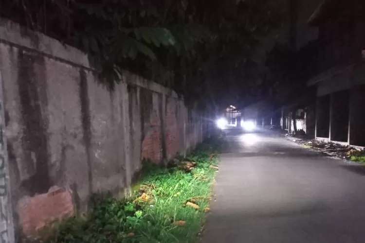 Kondisi enam titik PJU, di Jalan H Kenan RW8 Kelurahan Bojongsari Baru, Kecamatan Bojongsari, Depok yang mati. (RISKY DWI LESTARI/RADAR DEPOK)