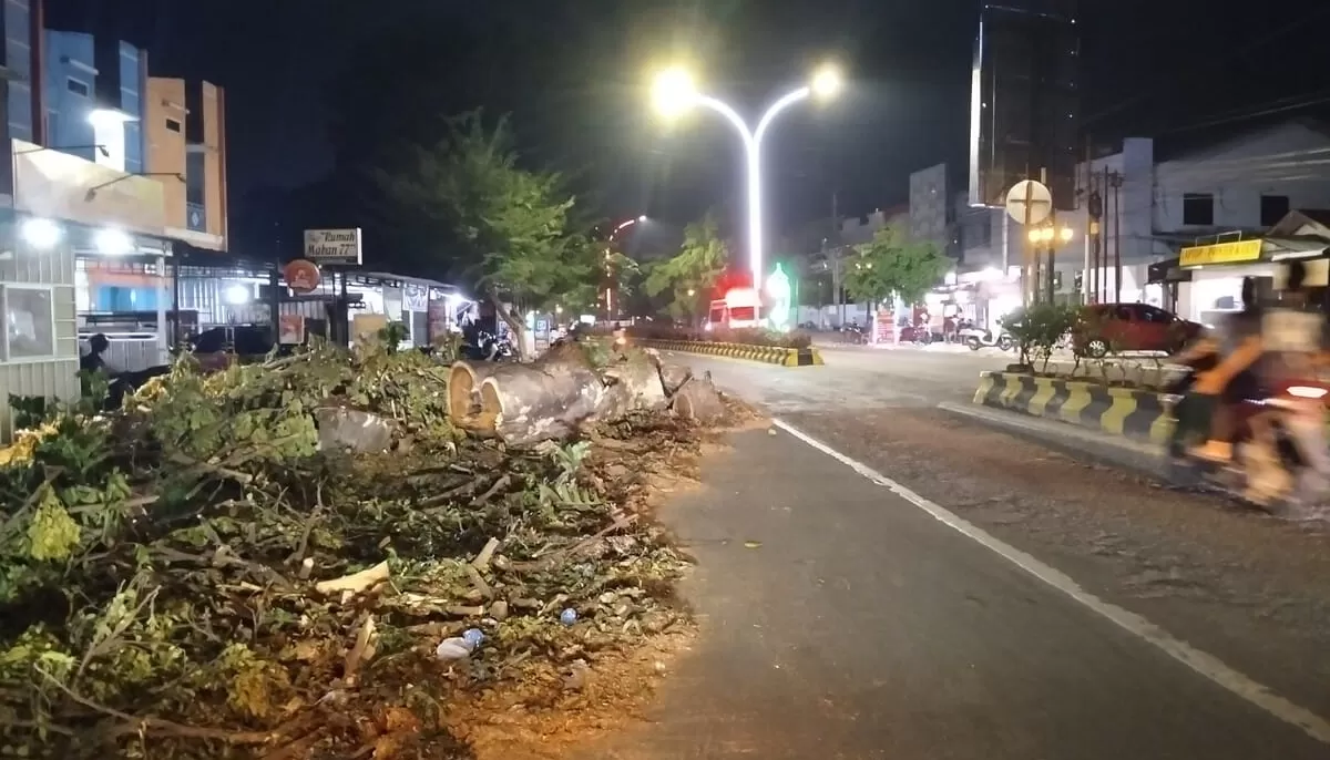 Tumpukan batang dan ranting hasil penebangan pohon masih terlihat berserakan di Jalan Andi Djemma, Kota Palopo (Ist/JPP)