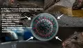 Virus Hantavirus Telah Menyebar di Indonesia, Kemenkes RI Catat 23 Kasus Terinfeksi