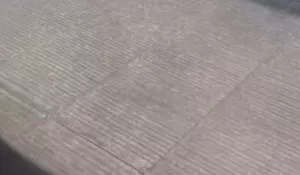 Viral! Influencer AS Unggah Kerusakan Hutan di Sumatera, Publik Kembali Soroti Deforestasi Indonesia