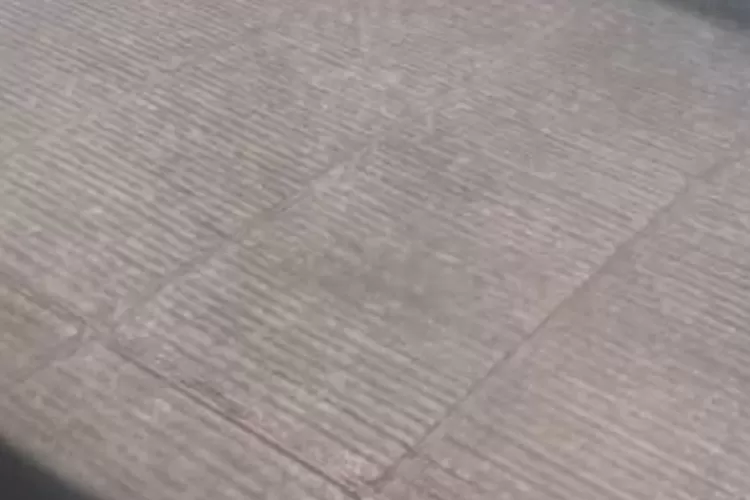 Influencer AS Unggah Kerusakan Hutan di Sumatera, Publik Kembali Soroti Deforestasi Indonesia. (Lambe Turah)