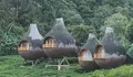 Viewnya Bikin Candu! Ada Staycation Unik Berbentuk Sarang Burung di The Ciliwung Glamping Puncak Bogor