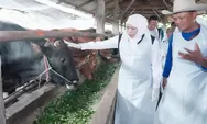 Stok Berlebih, Hewan Kurban di Jatim Dipastikan Kesehatannya Melalui Vaksinasi