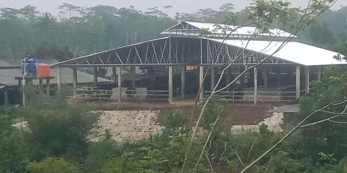 Warga Cicurug keluhkan bau kandang sapi dan dugaan pencemaran lingkungan (DM)