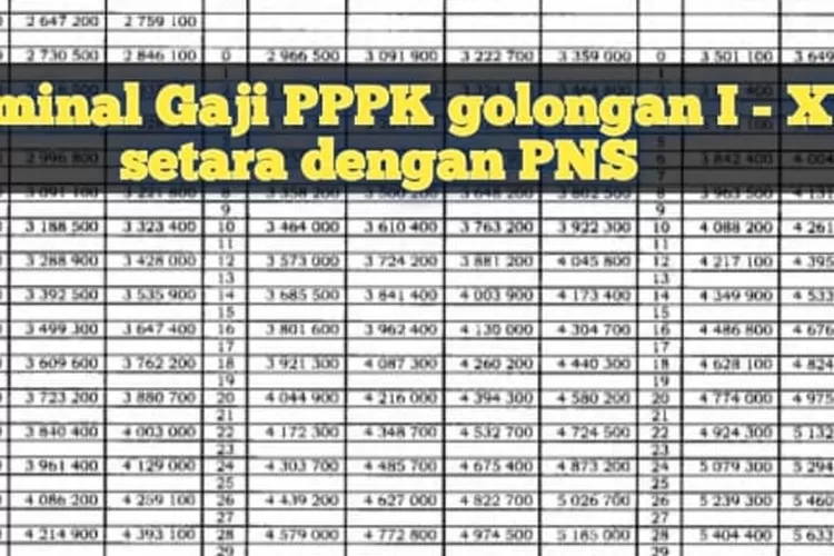 Alhamdulillah, PPPK DIPERPANJANG HINGGA USIA 60 TAHUN, Inilah Tabel ...